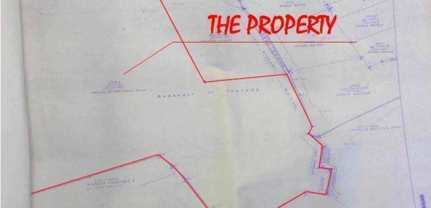 Foreclosed Residential Lot in Pozorrubio, Pangasinan · Lot 14 Block 3 (Bangko Sentral ng Pilipinas)