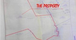 Foreclosed Residential Lot in Pozorrubio, Pangasinan · Lot 45 Block 2 (Bangko Sentral ng Pilipinas)