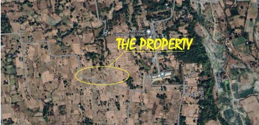 Foreclosed Residential Lot in Pozorrubio, Pangasinan · Lot H-7 (Bangko Sentral ng Pilipinas)