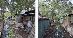 Foreclosed Property in San Jose, Nueva Ecija · Lot 3928-A-4 (Bangko Sentral ng Pilipinas)