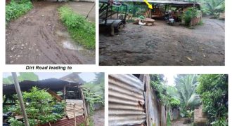 Foreclosed Property in Siniloan, Laguna – Near Mendiola Street (Bangko Sentral ng Pilipinas)