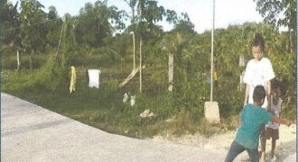 Foreclosed Agricultural Lot in Pamplona, Camarines Sur (Philippine Veterans Bank)