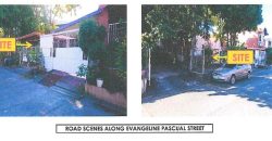 Foreclosed Residential Lot in Las Pinas City, Metro Manila · Lot 21 Blk 34 (Bangko Sentral ng Pilipinas)