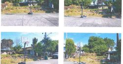 Foreclosed Residential Lot in Las Pinas City, Metro Manila · Lot 7 Blk 19 (Bangko Sentral ng Pilipinas)