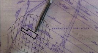 Foreclosed House and Lot in Laoac, Pangasinan · Lot 1-A (Bangko Sentral ng Pilipinas)