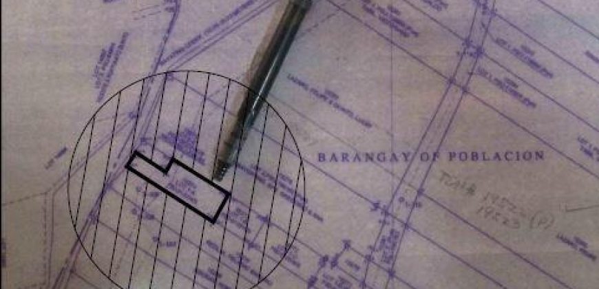 Foreclosed House and Lot in Laoac, Pangasinan