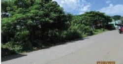 Foreclosed Residential Lot in Caloocan, Metro Manila · Lot 9 Blk 11 (Bangko Sentral ng Pilipinas)