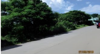 Foreclosed Residential Lot in Caloocan City
