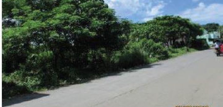 Foreclosed Residential Lot in Caloocan, Metro Manila · Lot 9 Blk 11 (Bangko Sentral ng Pilipinas)