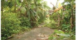 Foreclosed Residential Lot in Caloocan, Metro Manila · Lot 14 Blk 61 (Bangko Sentral ng Pilipinas)