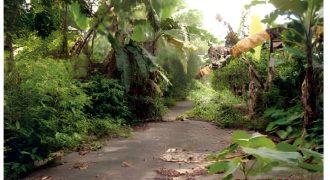 Foreclosed Residential Lot in Caloocan City