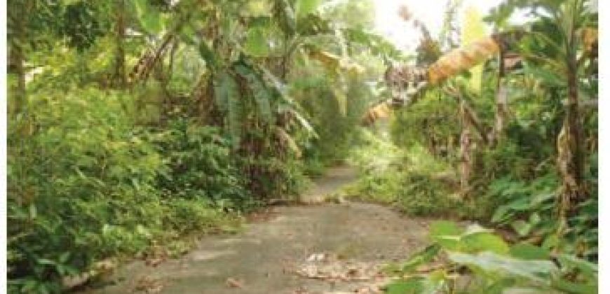Foreclosed Residential Lot in Caloocan, Metro Manila · Lot 14 Blk 61 (Bangko Sentral ng Pilipinas)