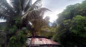 Foreclosed Residential Lot in San Manuel, Isabela