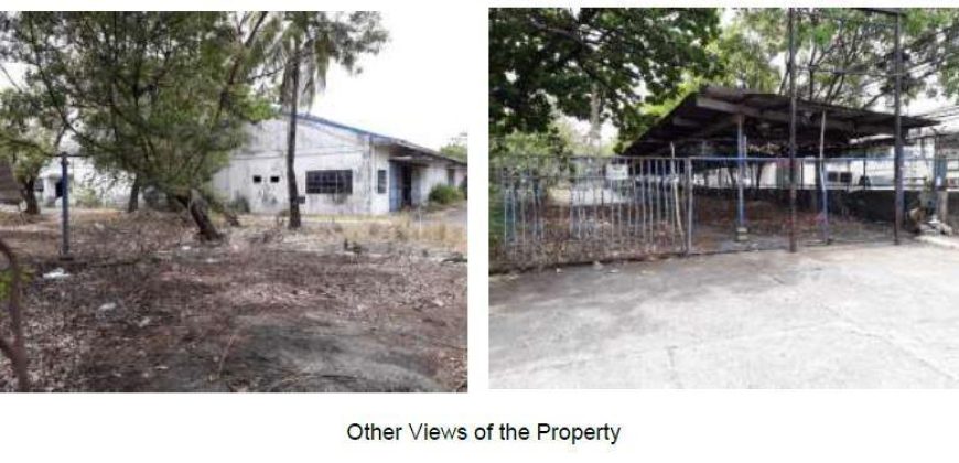 Foreclosed Commercial Property in Las Piñas City