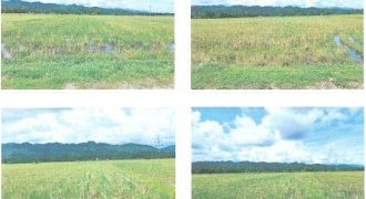 Foreclosed Property in Cantilan, Surigao del Sur (Bangko Sentral ng Pilipinas)