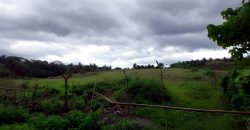 Foreclosed Residential Lot in Daraga, Albay