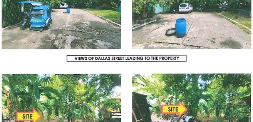 Foreclosed Residential Lot in Paranaque, Metro Manila – BF Homes Subdivision (Bangko Sentral ng Pilipinas)