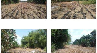 Foreclosed Property in Malasiqui, Pangasinan · Lot 3057 (Bangko Sentral ng Pilipinas)