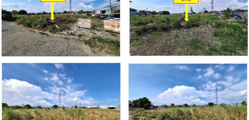 Foreclosed Residential Lot in Las Pinas City, Metro Manila · Lot 2 Blk 33 (Bangko Sentral ng Pilipinas)