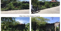 Foreclosed Property in Concepcion, Tarlac (Bangko Sentral ng Pilipinas)