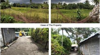 Foreclosed Property in Santo Domingo (Libog), Albay (Bangko Sentral ng Pilipinas)