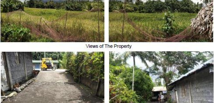 Foreclosed Property in Santo Domingo (Libog), Albay (Bangko Sentral ng Pilipinas)