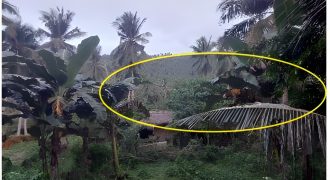 Foreclosed Property in Quezon City