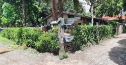 Foreclosed Property in Santo Tomas, Davao del Norte