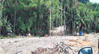 Foreclosed Property in Patnongon, Antique · Lot 68 (Bangko Sentral ng Pilipinas)