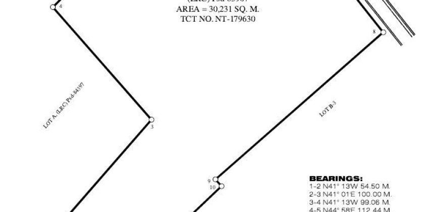 Foreclosed Property in General Tinio (Payapa), Nueva Ecija · Lot B-2 (Bangko Sentral ng Pilipinas)