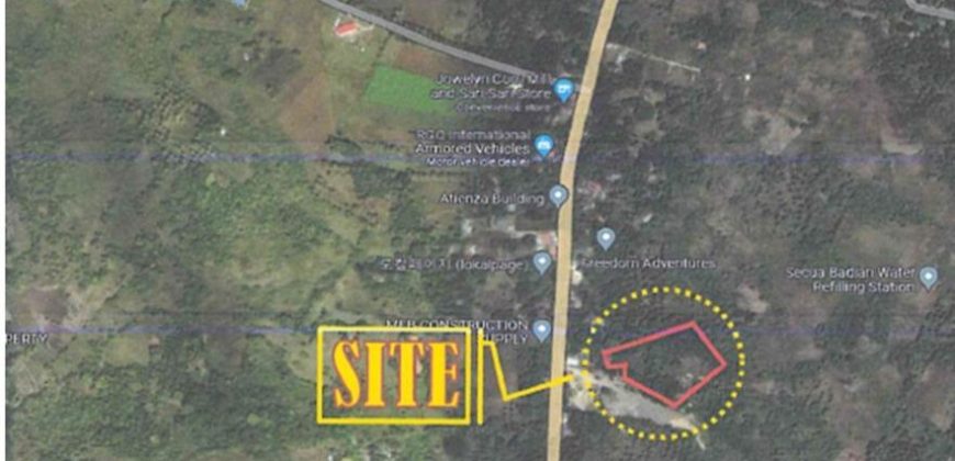 Foreclosed Property in Badian, Cebu (Bangko Sentral ng Pilipinas)