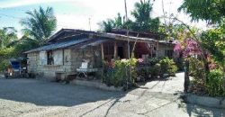 Foreclosed House and Lot in Llanera, Nueva Ecija (Bangko Sentral ng Pilipinas)