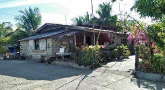 Foreclosed House and Lot in Llanera, Nueva Ecija (Bangko Sentral ng Pilipinas)