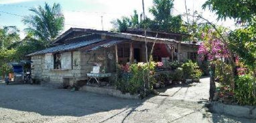 Foreclosed House and Lot in Llanera, Nueva Ecija (Bangko Sentral ng Pilipinas)