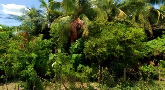 Foreclosed Residential Lot in San Manuel, Isabela