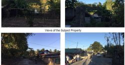 Foreclosed Residential Lot in Santa Ignacia, Tarlac (Bangko Sentral ng Pilipinas)