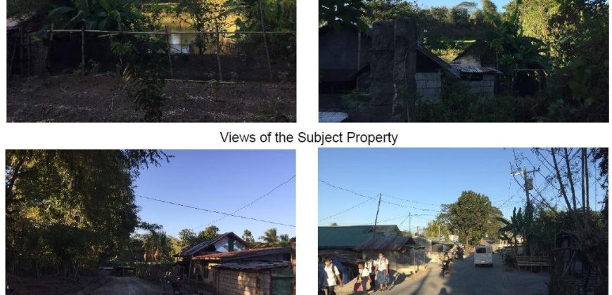 Foreclosed Residential Lot in Santa Ignacia, Tarlac (Bangko Sentral ng Pilipinas)
