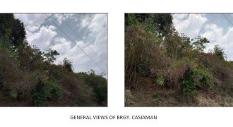 Foreclosed Property in Bacnotan, La Union (Bangko Sentral ng Pilipinas)
