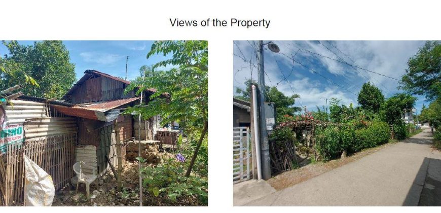 Foreclosed Residential Lot in Moncada (Tarlac), Tarlac (Bangko Sentral ng Pilipinas)