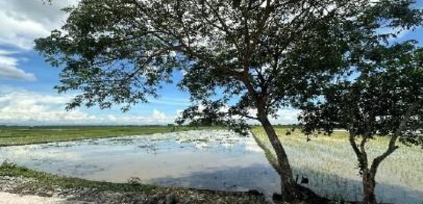 Foreclosed Property in San Manuel, Isabela (Bangko Sentral ng Pilipinas)
