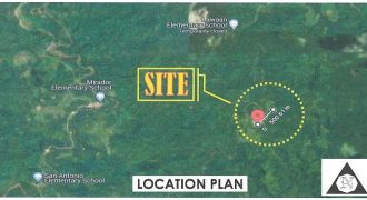 Foreclosed Property in San Roque, Northern Samar · Lot 2995 (Bangko Sentral ng Pilipinas)