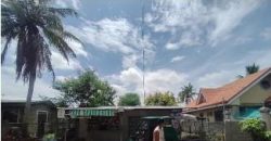 Foreclosed Residential Lot in Alicia, Isabela (Bangko Sentral ng Pilipinas)