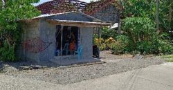 Foreclosed House and Lot in Cabatuan, Isabela – Barangay Road (Bangko Sentral ng Pilipinas)
