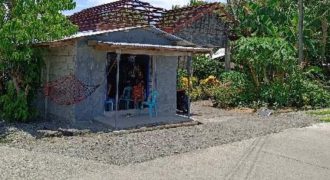 Foreclosed House and Lot in Cabatuan, Isabela