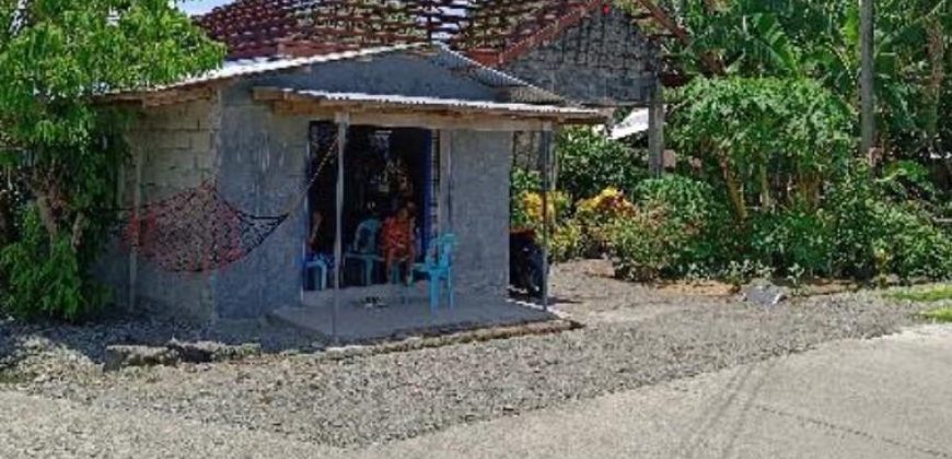 Foreclosed House and Lot in Cabatuan, Isabela – Barangay Road (Bangko Sentral ng Pilipinas)