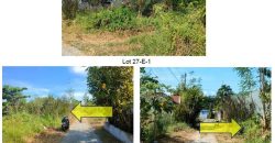 Foreclosed Residential Lot in Tarlac – Jose Macapinlac Subdivision · Lot 27-E-1 (Bangko Sentral ng Pilipinas)