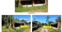 Foreclosed House and Lot in Tarlac – Jose Macapinlac Subdivision (Bangko Sentral ng Pilipinas)