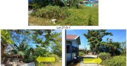 Foreclosed Residential Lot in Tarlac – Jose Macapinlac Subdivision (Bangko Sentral ng Pilipinas)