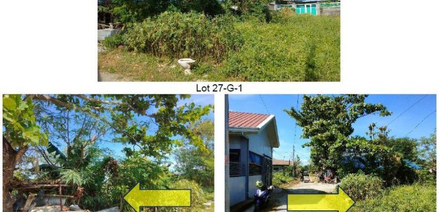 Foreclosed Residential Lot in Tarlac – Jose Macapinlac Subdivision (Bangko Sentral ng Pilipinas)