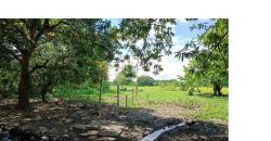 Foreclosed Residential Lot in Cabatuan, Isabela (Bangko Sentral ng Pilipinas)